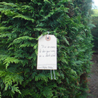 DEA SILVA RUM – Goddess of the Woods