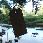 DEA SILVA RUM – Goddess of the Woods